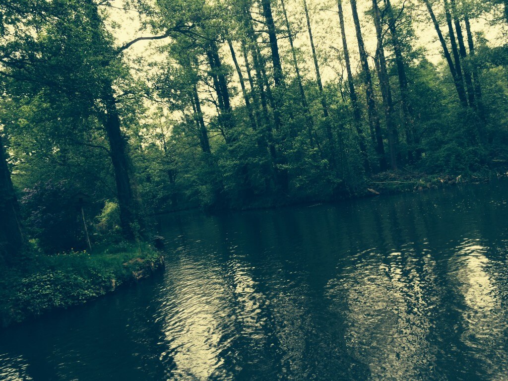 Spreewald, Germany