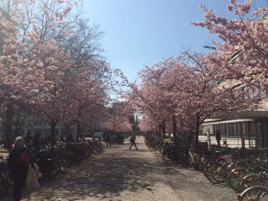 Campus of the University of Göttingen, Germany
