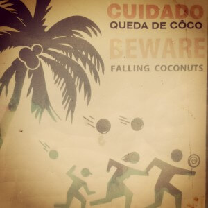 Dangerous coconut, Brazil