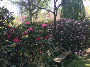 Forstbotanischer Garten, Hann. Münden