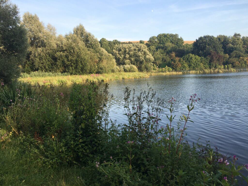 Wendebachstausee, Gleichen