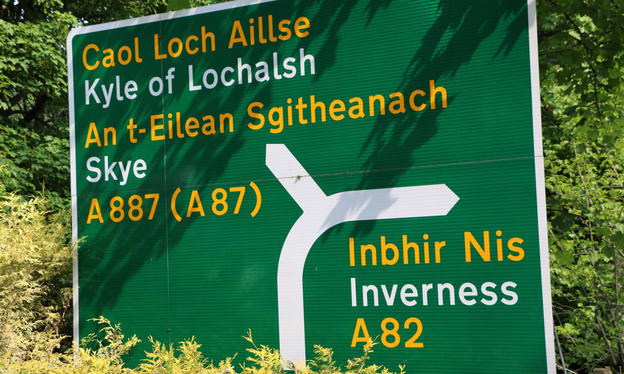 Gaelic, Scotland