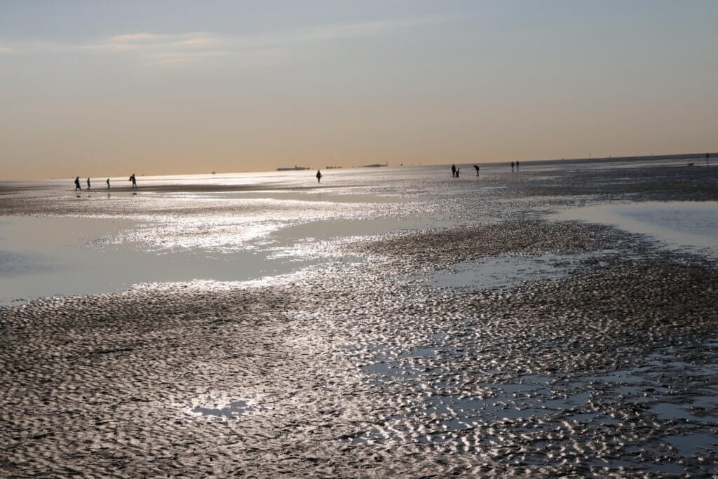 Wattenmeer, Cuxhaven