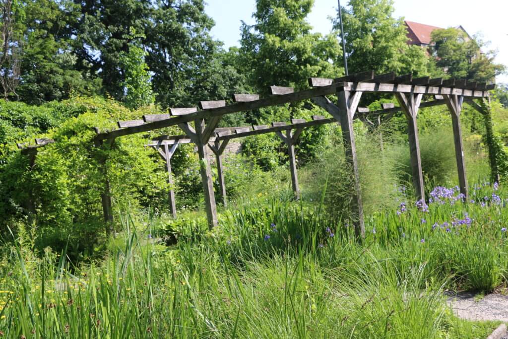 Alter Botanischer Garten, Göttingen