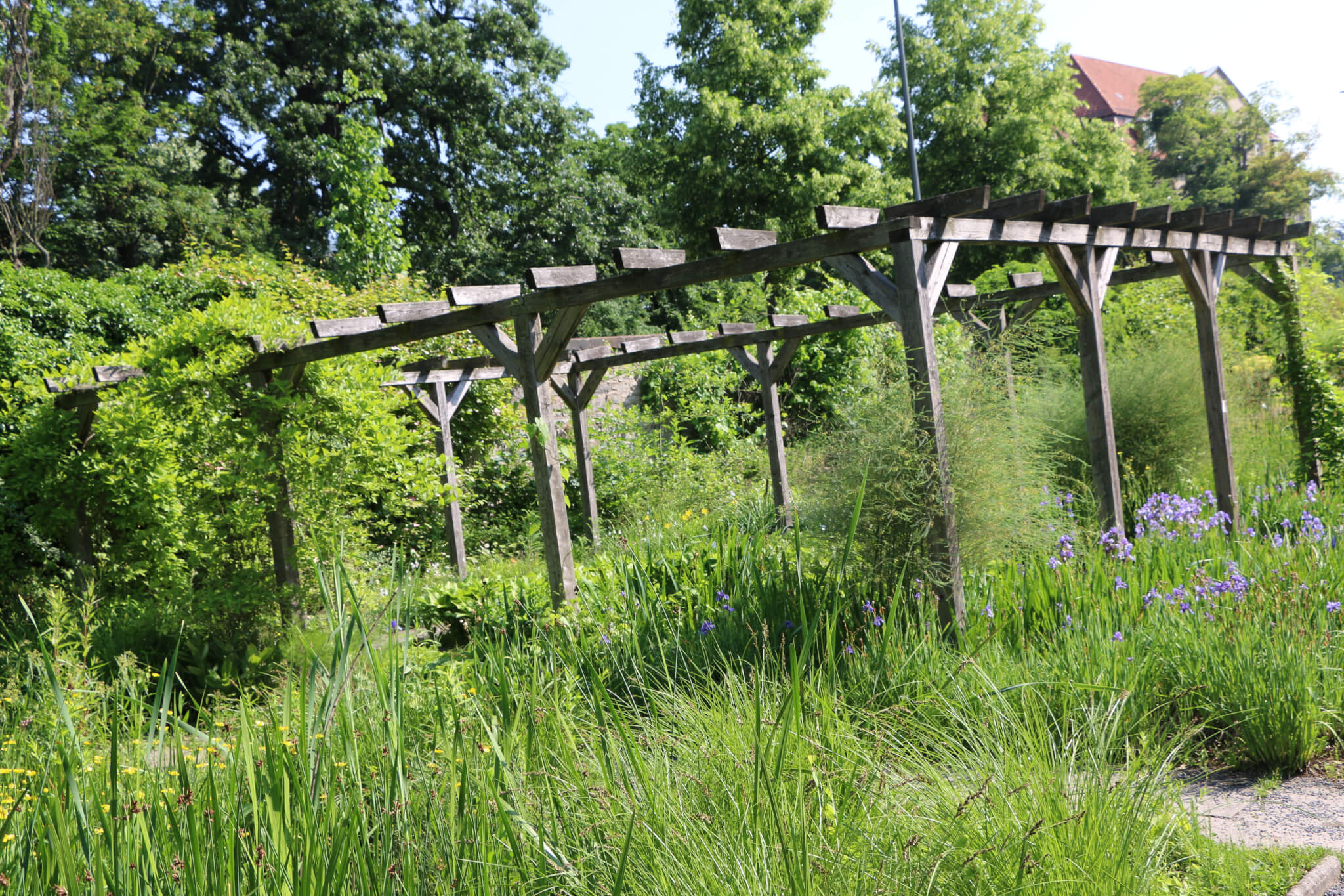 Alter Botanischer Garten Gottingen The Passenger