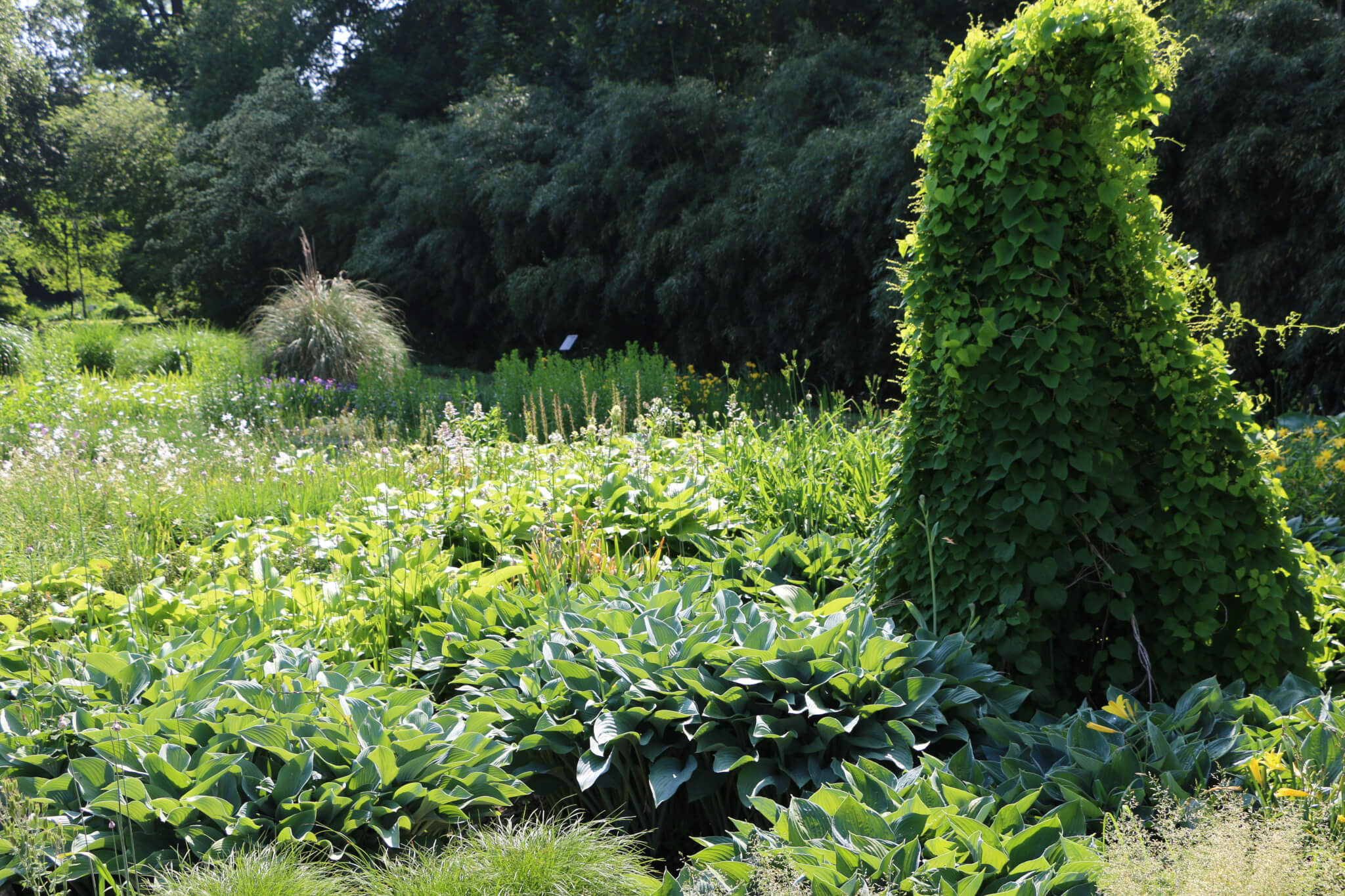 Alter Botanischer Garten Gottingen The Passenger