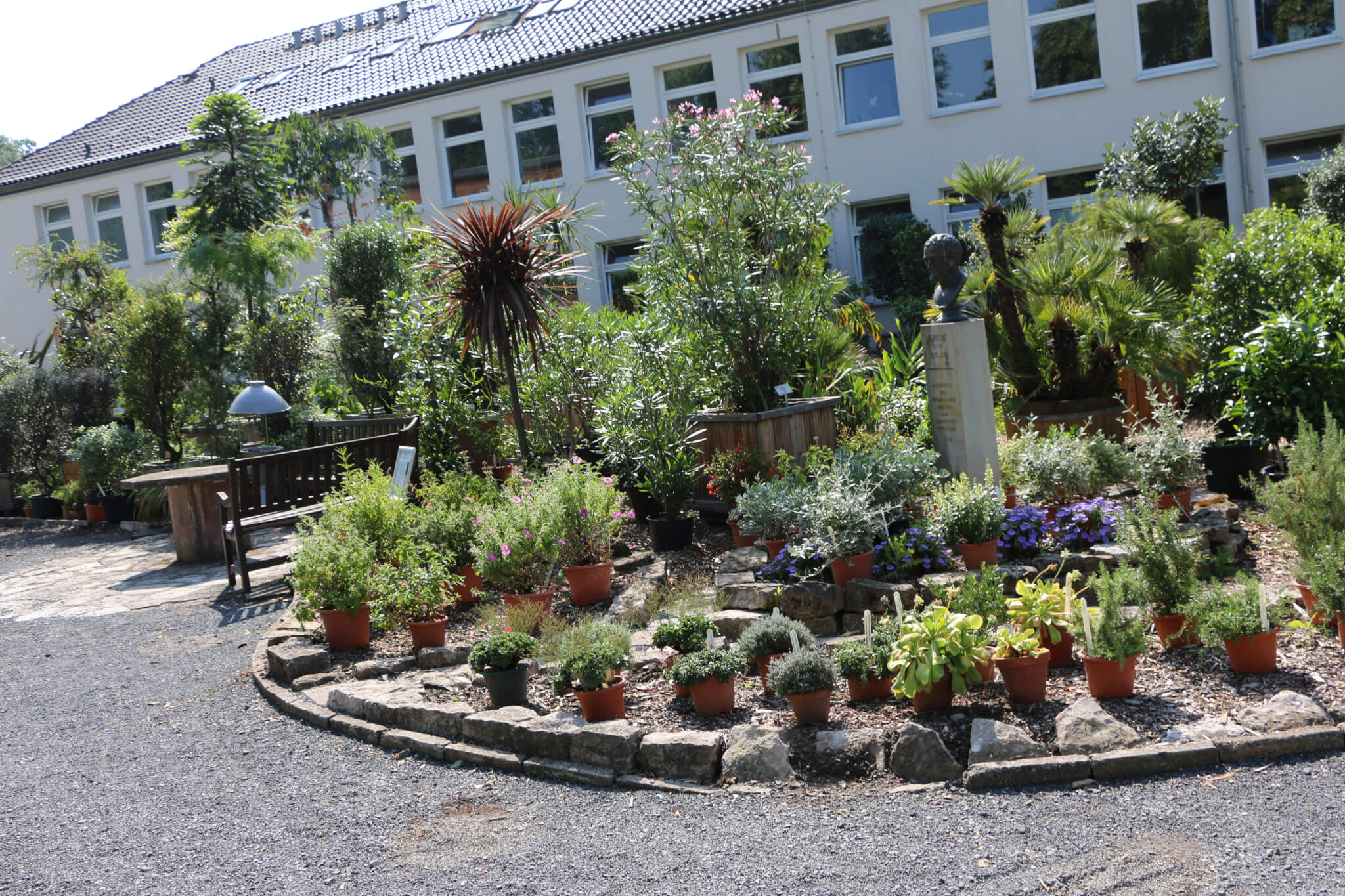 Alter Botanischer Garten Gottingen The Passenger