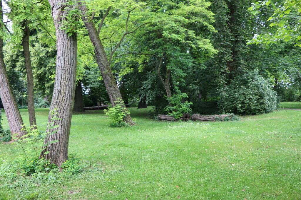 Klosterpark Weende, Göttingen