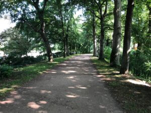 Wallanlagen, Göttingen