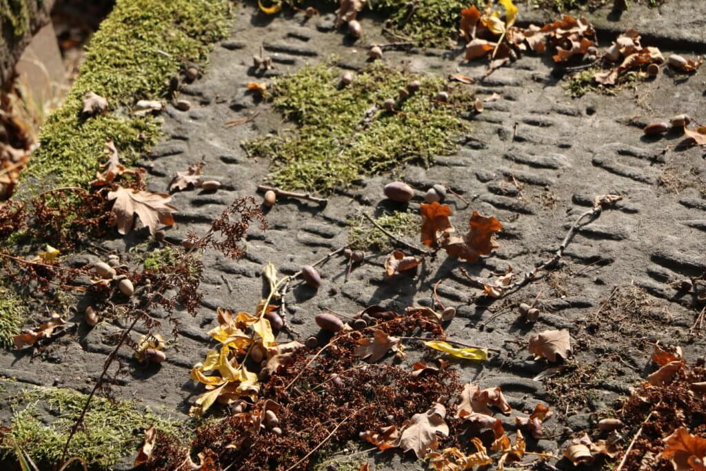 Jüdischer Friedhof, Adelebsen