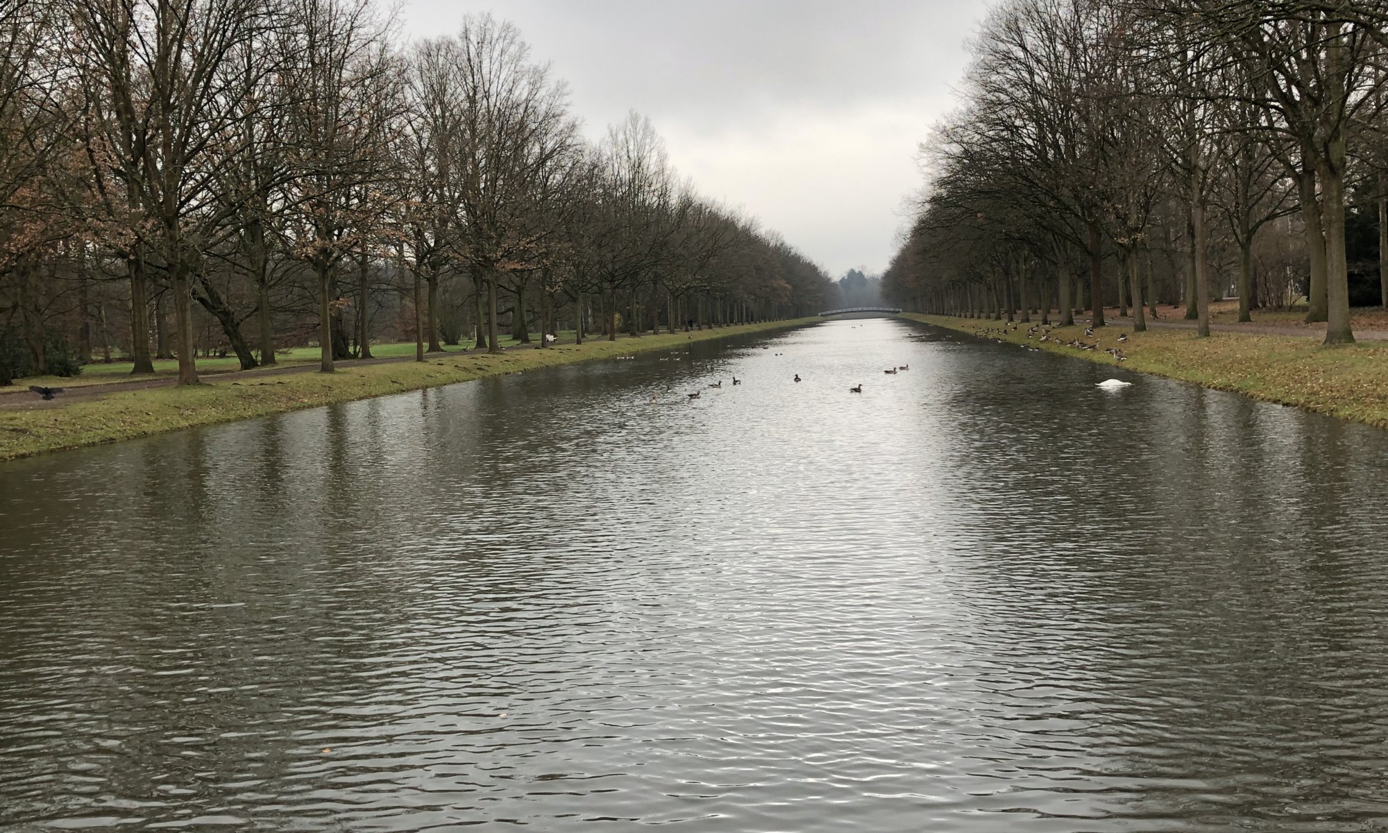 Staatspark Karlsaue, Kassel