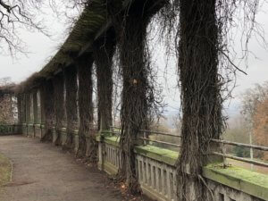 Weinberg, Kassel