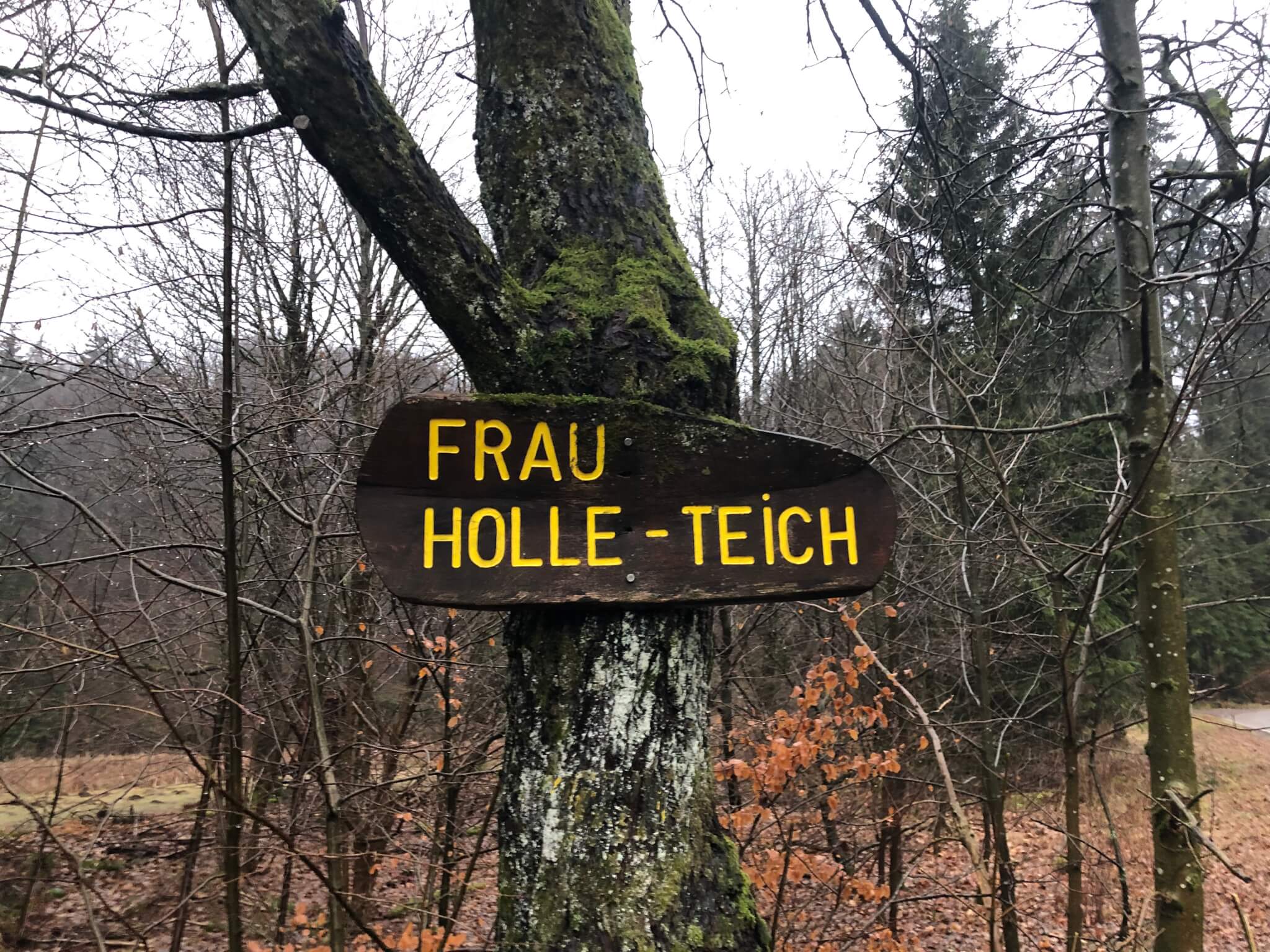 FrauHolleTeich / Entrance to the kingdom of Mother Holle ⋆ The Passenger