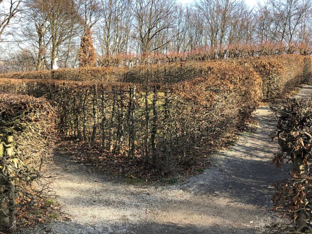 Maze, Löwenburg, Bergpark Wilhelmshöhe, Kassel