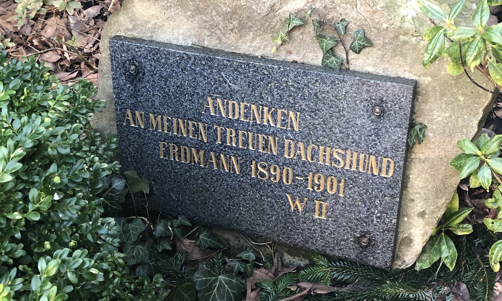 Grave of Erdmann, the dachshund of Wilhelm II, Roseninsel, Bergpark Wilhelmshöhe, Kassel