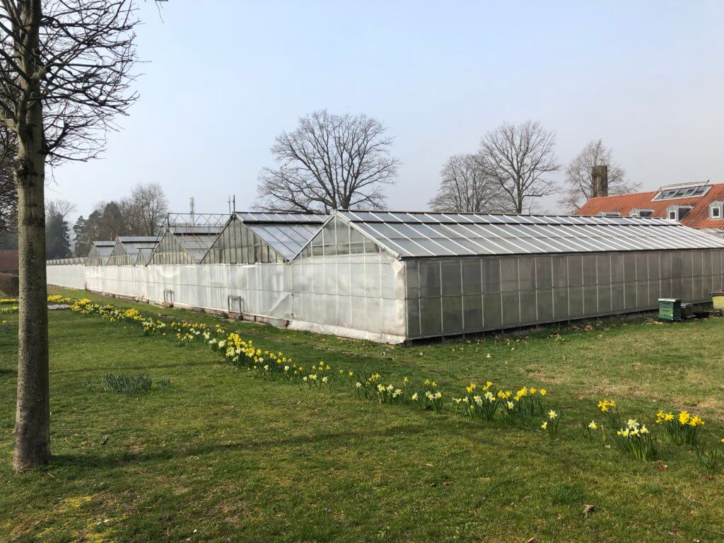 Botanischer Garten, Kassel