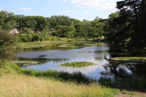 Botanischer Garten, Berlin