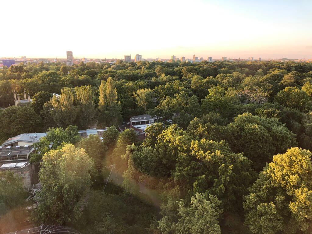 View from Neni, Berlin