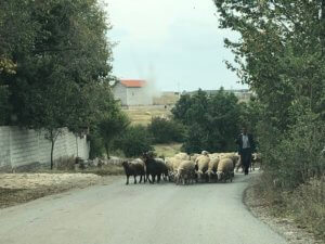 Blocked road, Përçevë