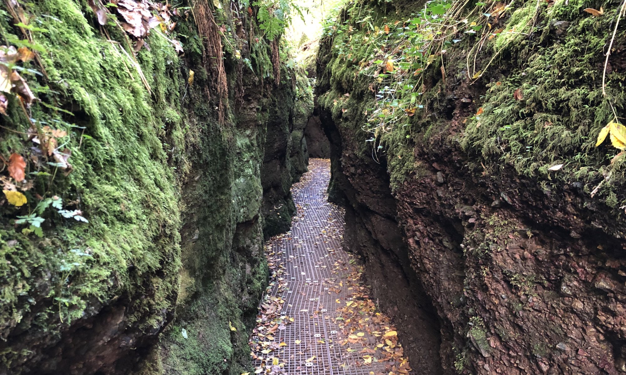 Drachenschlucht, Eisenach