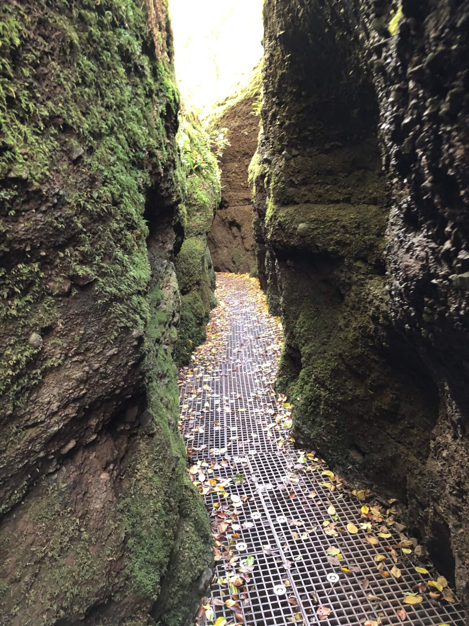 Drachenschlucht / Hiking in a gorge, Eisenach ⋆ The Passenger