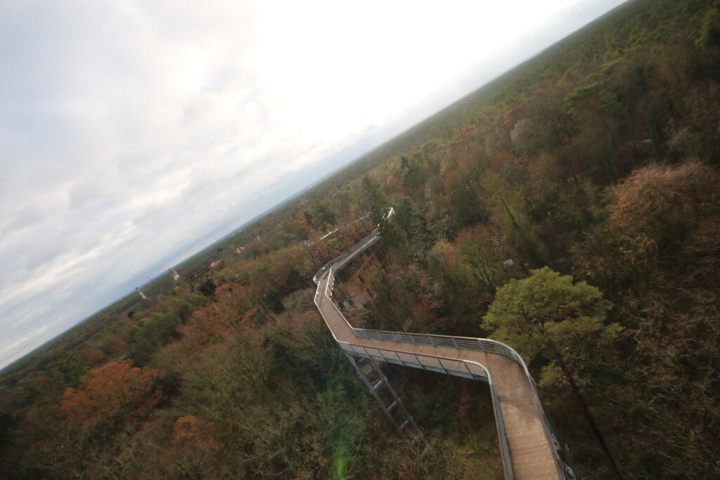 Baumkronenpfad Heilstätten, Beelitz