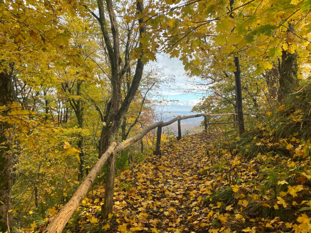 Bilstein, Kaufunger Wald