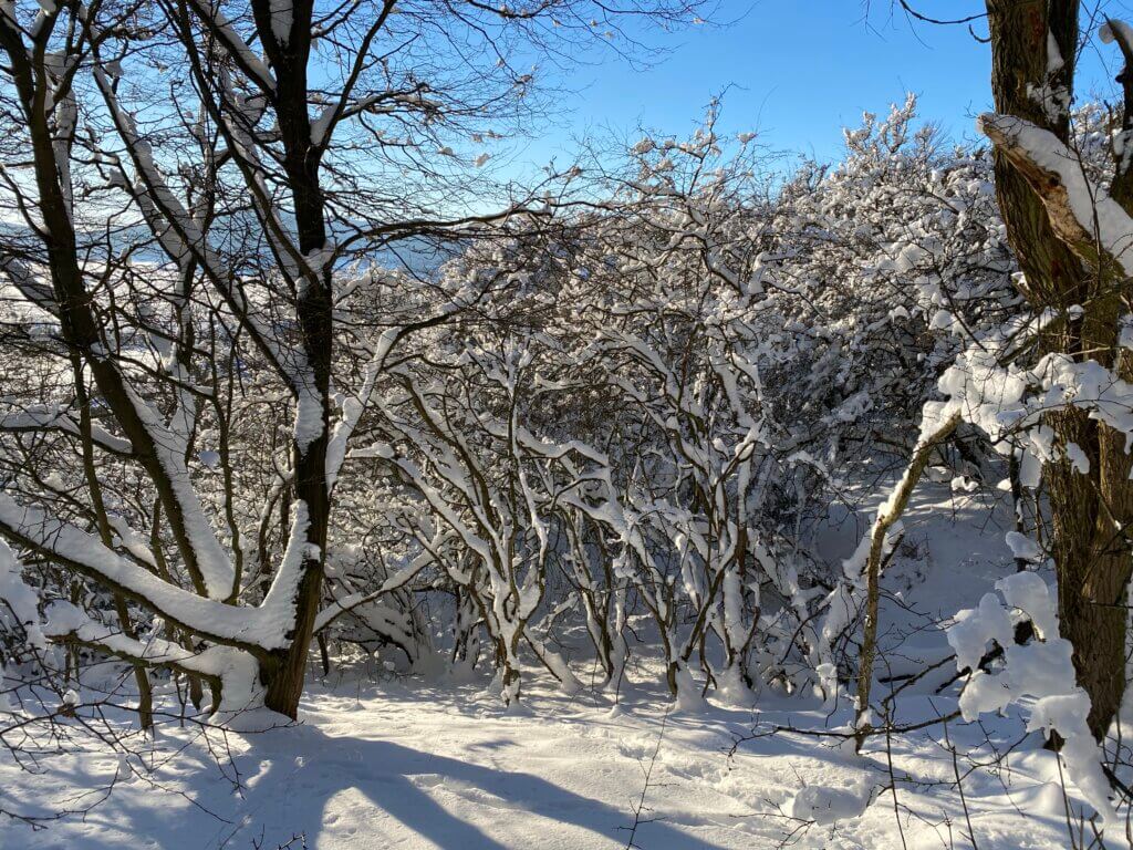 Alpenpfad, Dörnberg, Zierenberg