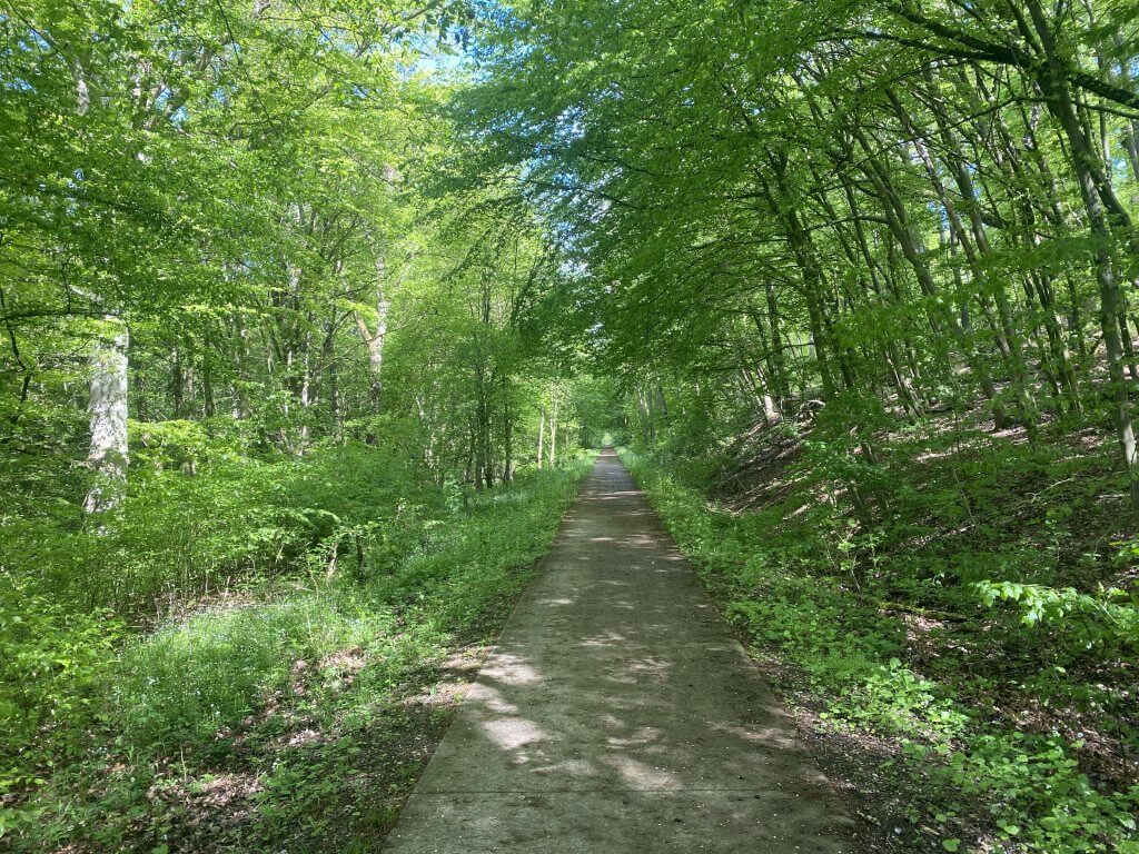 Old railway track, Scheden