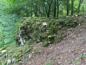 Burgruine Reichenbach, Hessisch Lichtenau