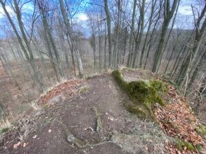 Igelsburg, Habichtswald