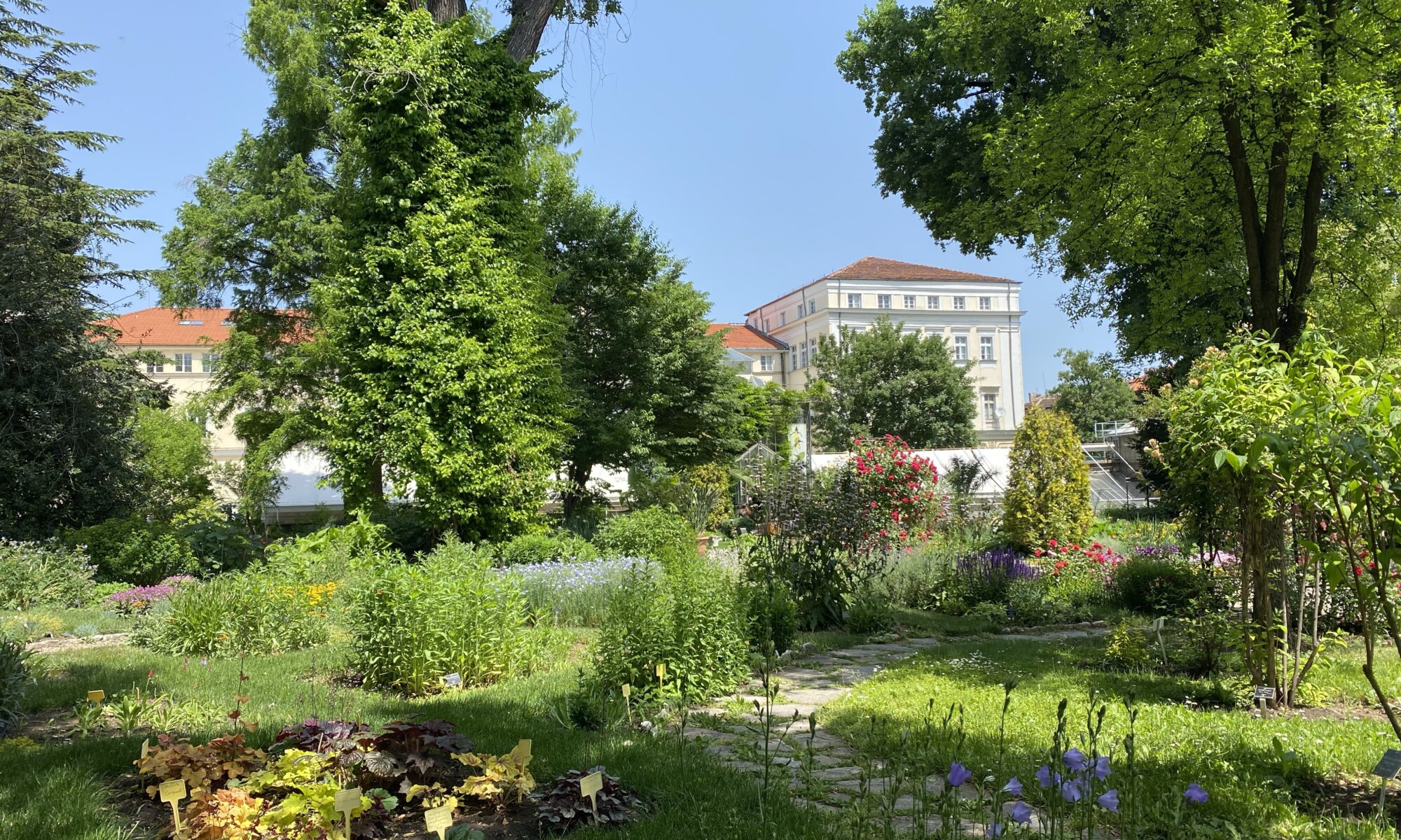 University Botanical Garden, София