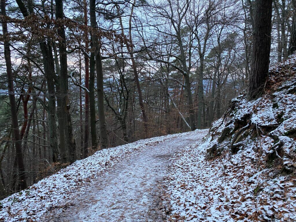 Path to Spiegelslust, Marburg an der Lahn