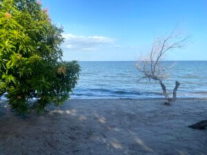 Lago Cocibolca / Lago de Nicaragua, El Guayabo