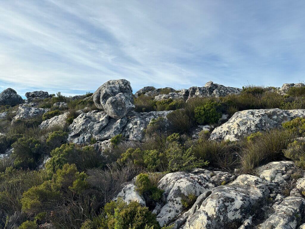 Table Mountain, Cape Town