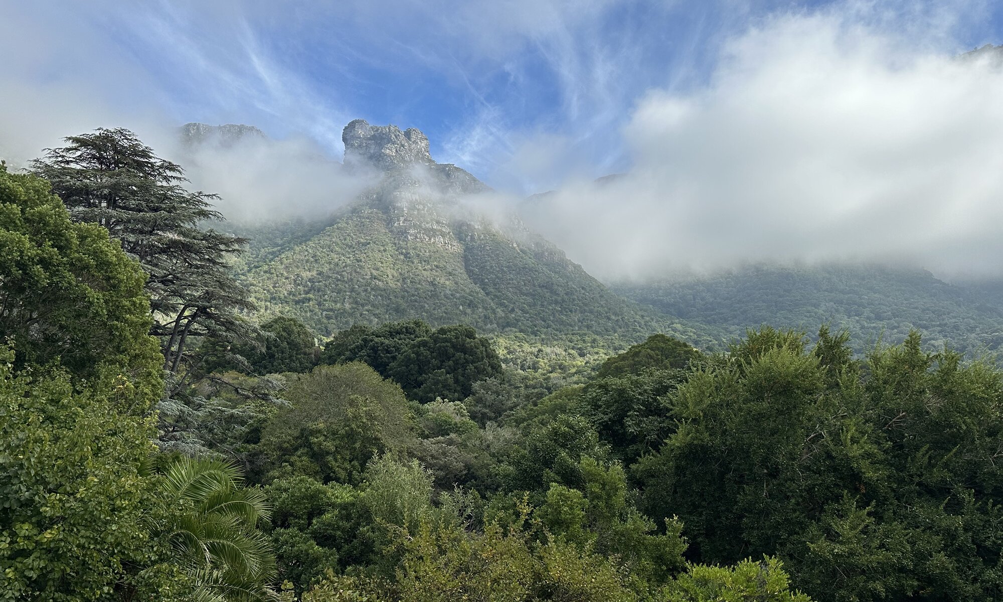 Kirstenbosch National Botanical Garden, Cape Town