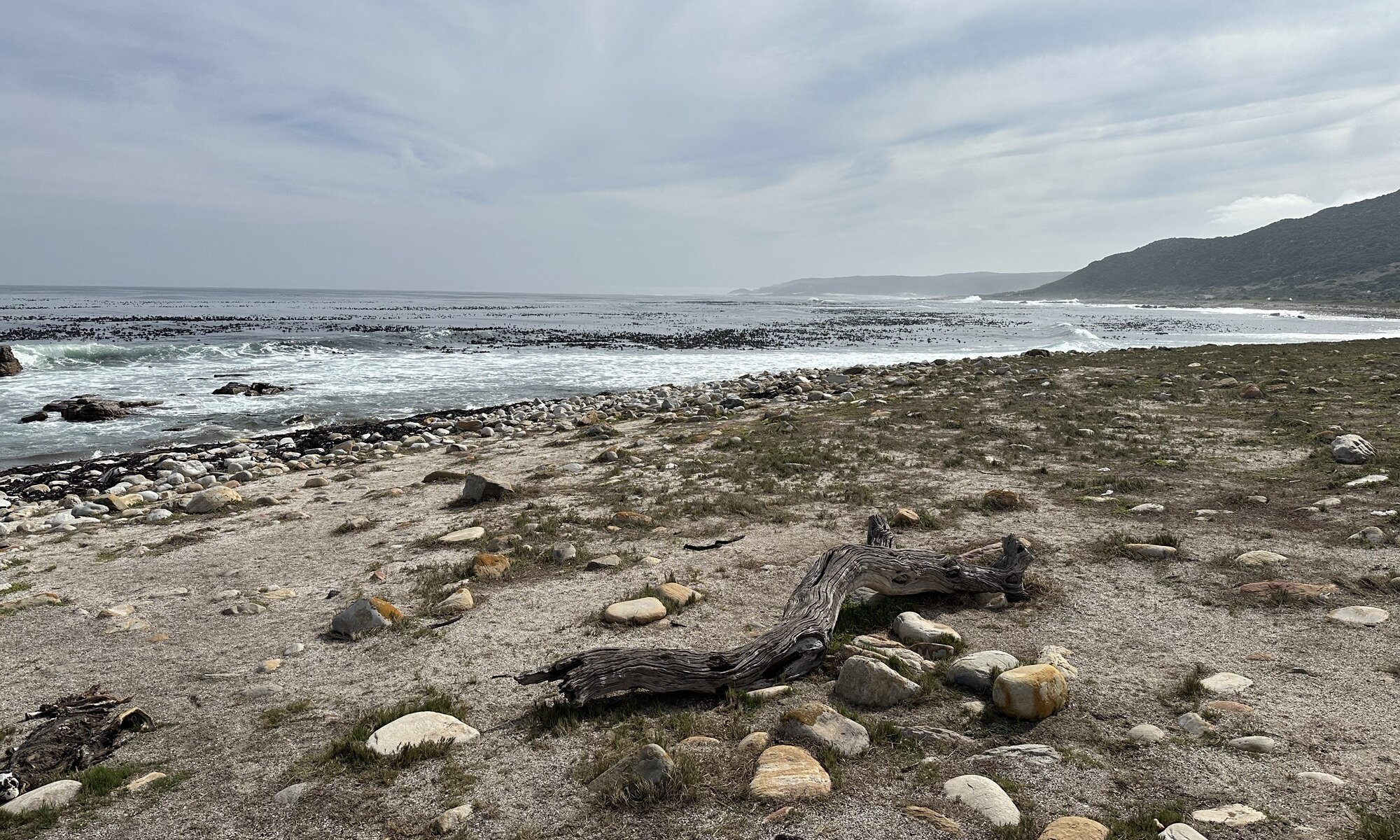 Cape of Good Hope, South Africa