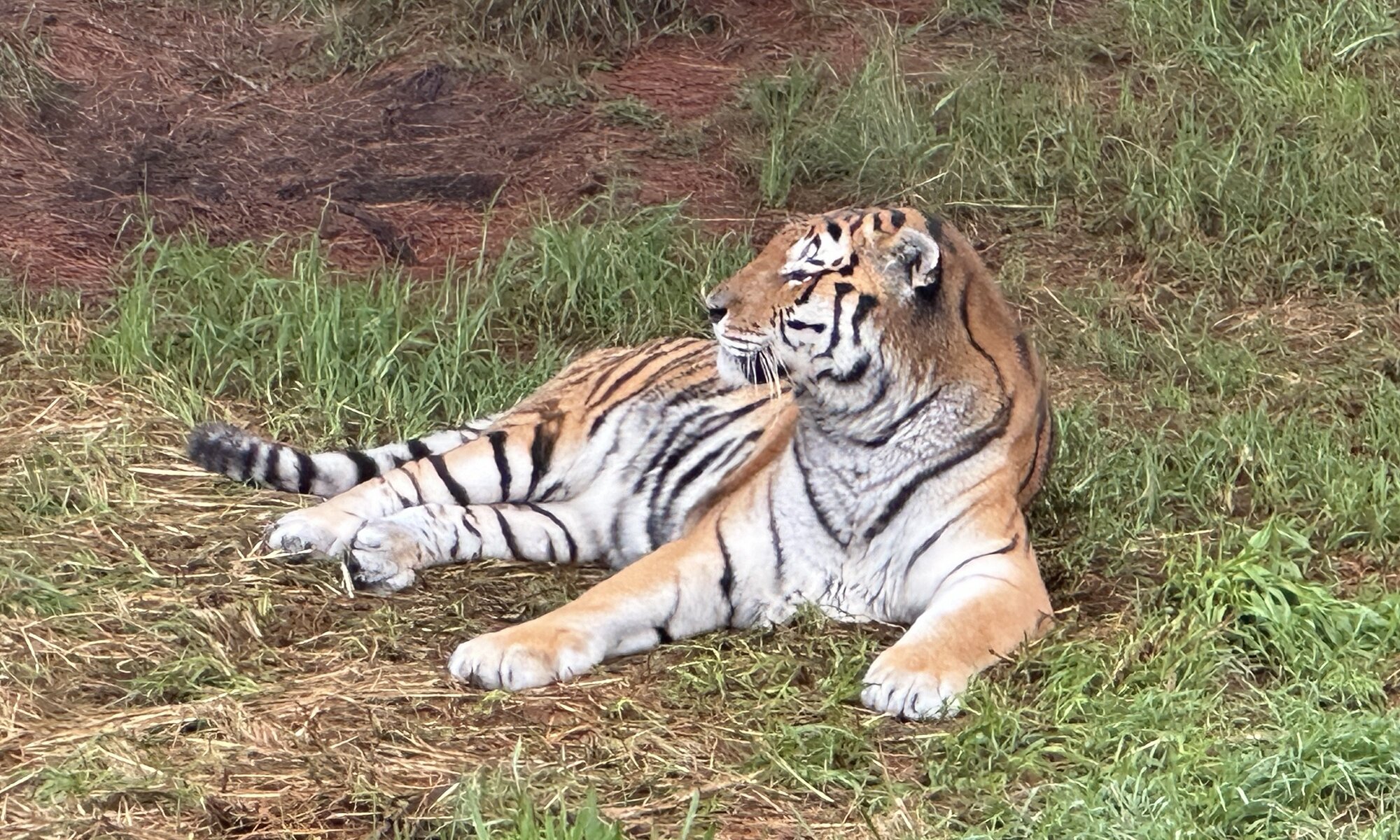 Jukani Wildlife Sanctuary, Plettenberg Bay