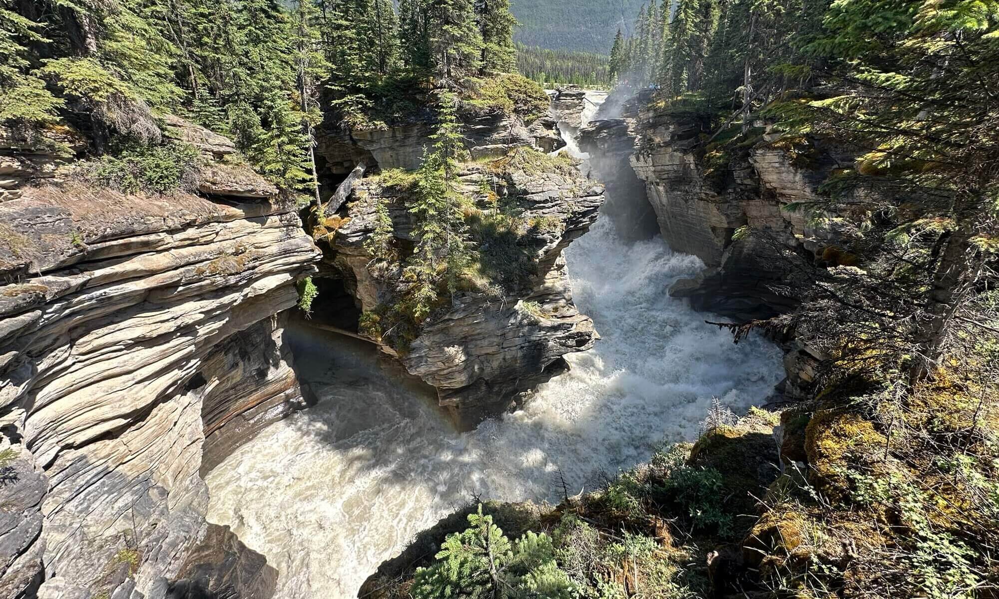Athabasca falls, Jasper
