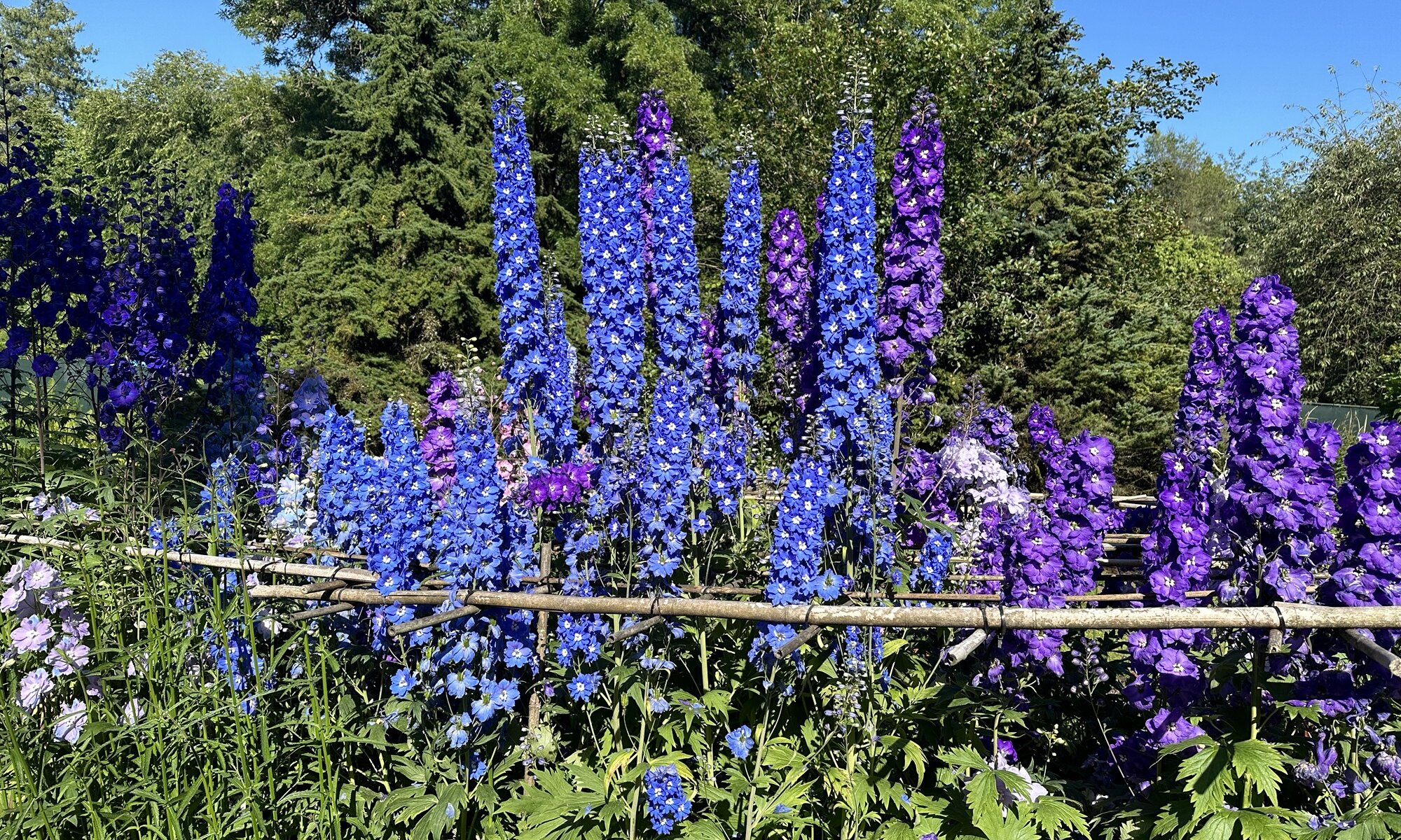 VanDusen Botanical Garden, Vancouver