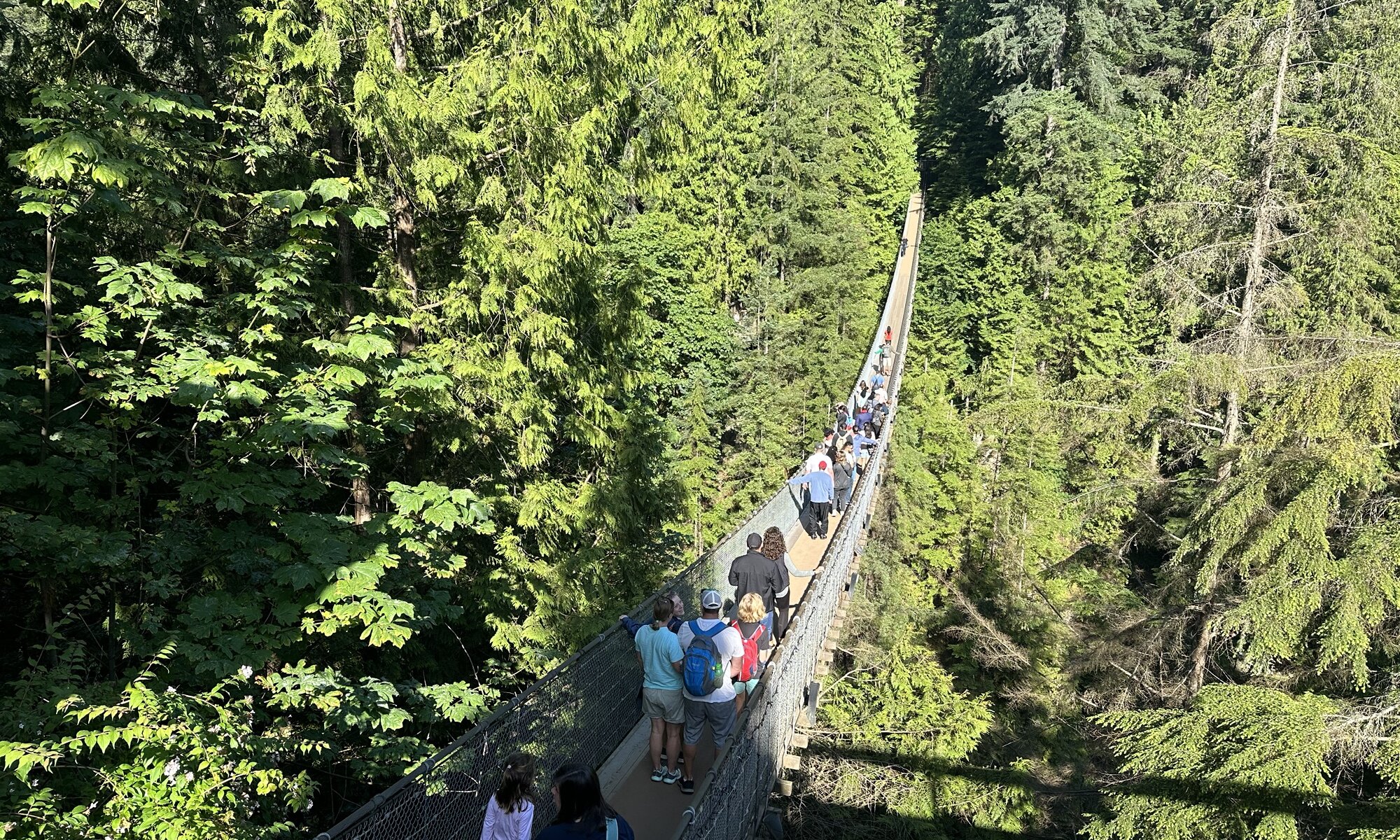 Capilano suspension bridge, Vancouver