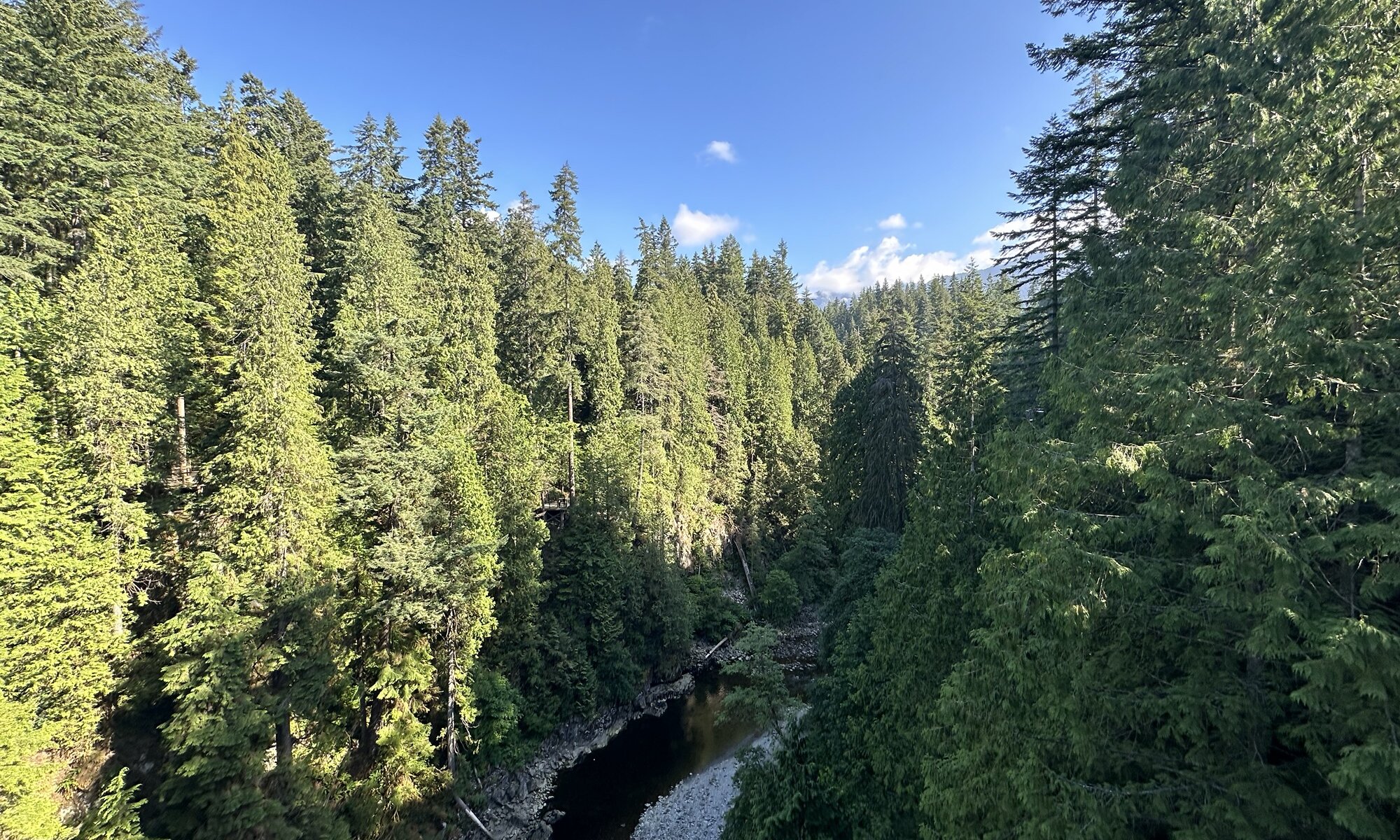 Capilano suspension bridge, Vancouver