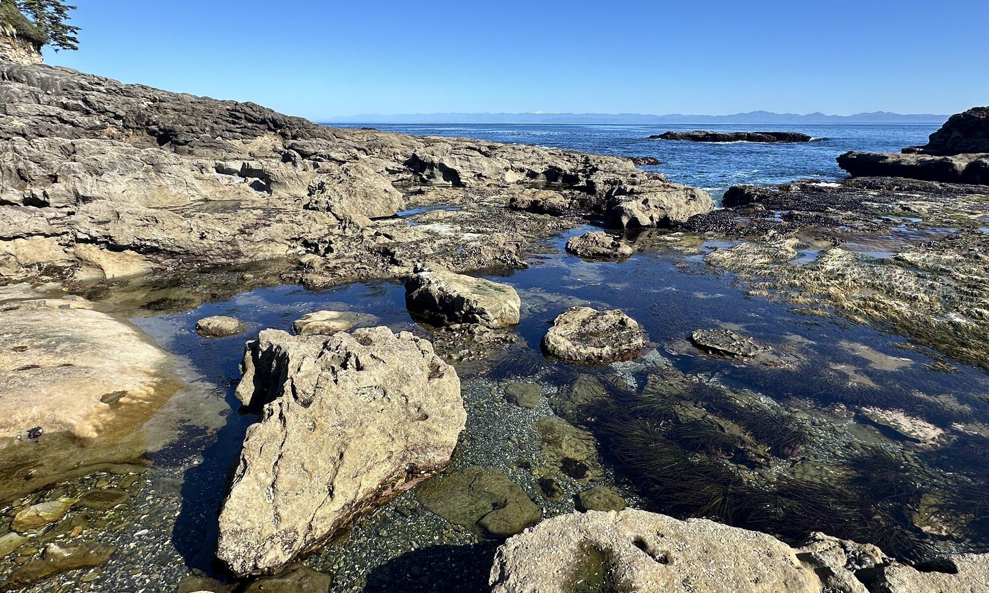 Botanic beach, Vancouver island