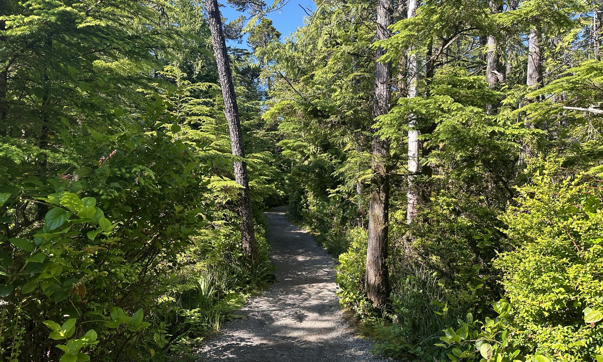 Lighthouse trail, Ucluelet