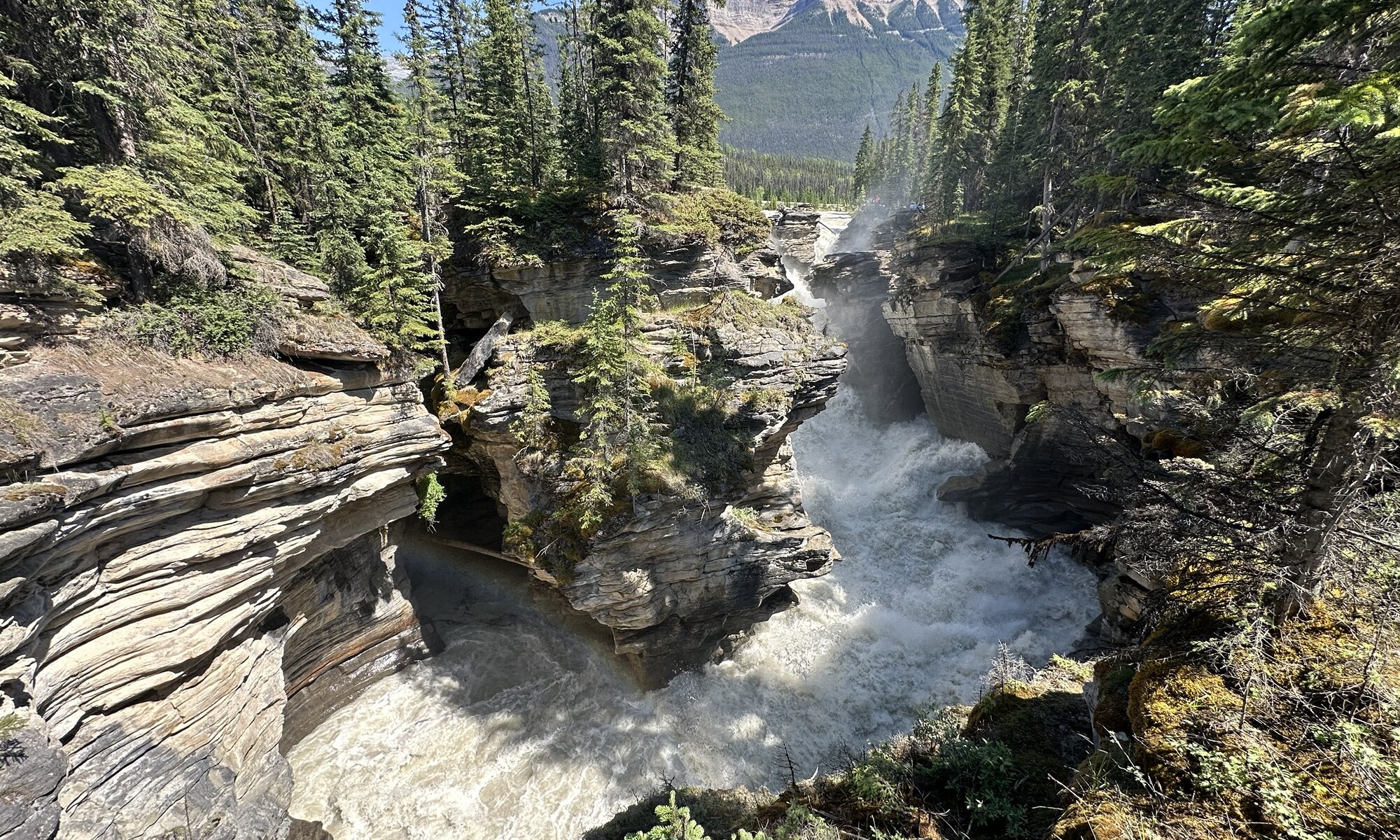 Athabasca falls, Jasper