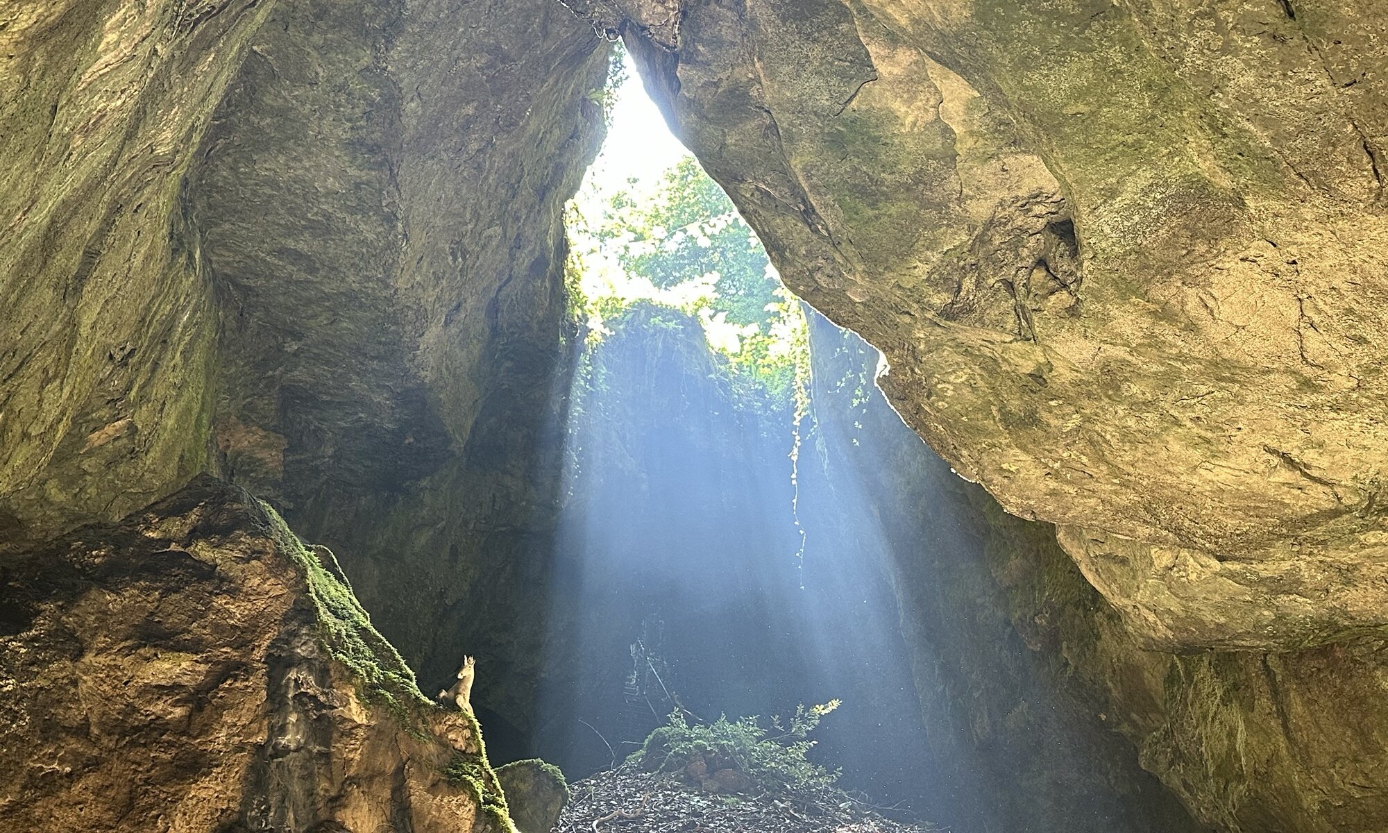 Einhornhöhle, Herzberg am Harz