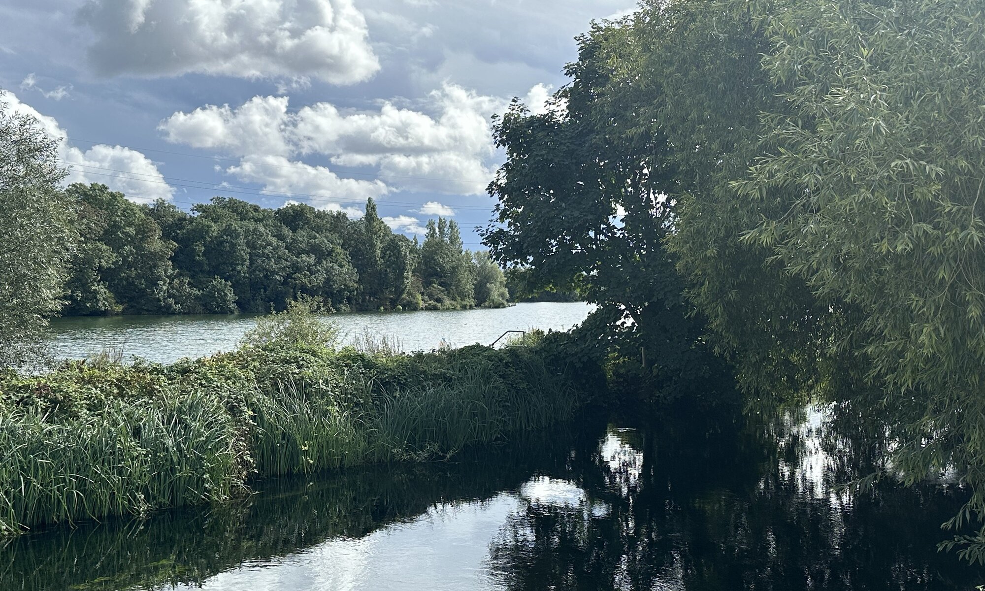 Walthamstow Wetlands, London