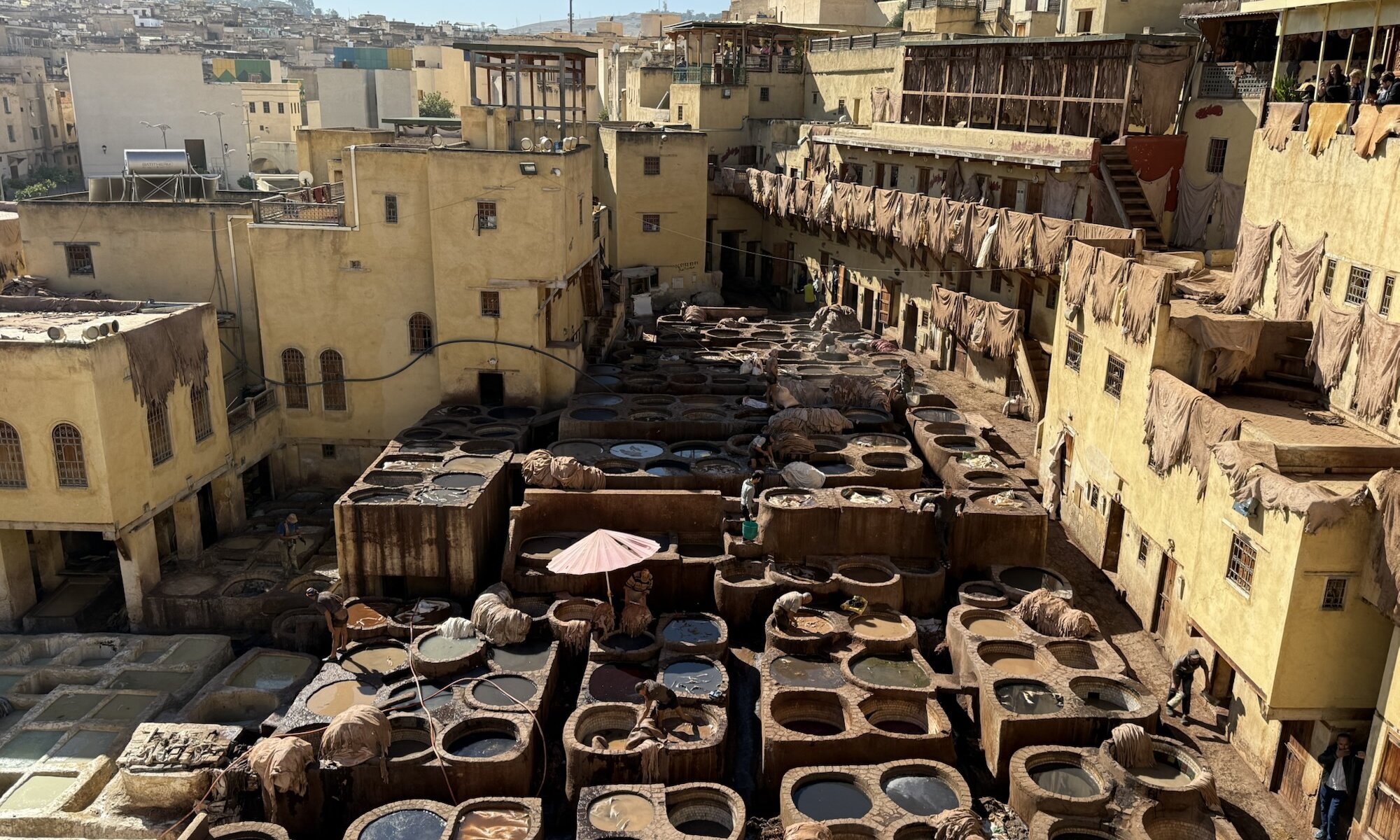 Tannery Chouara, Fès