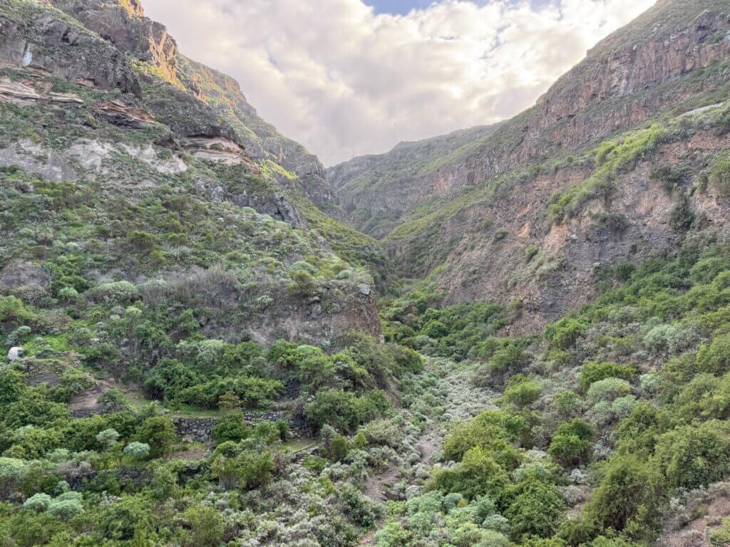 Barranco de Ruiz, Los Realejos