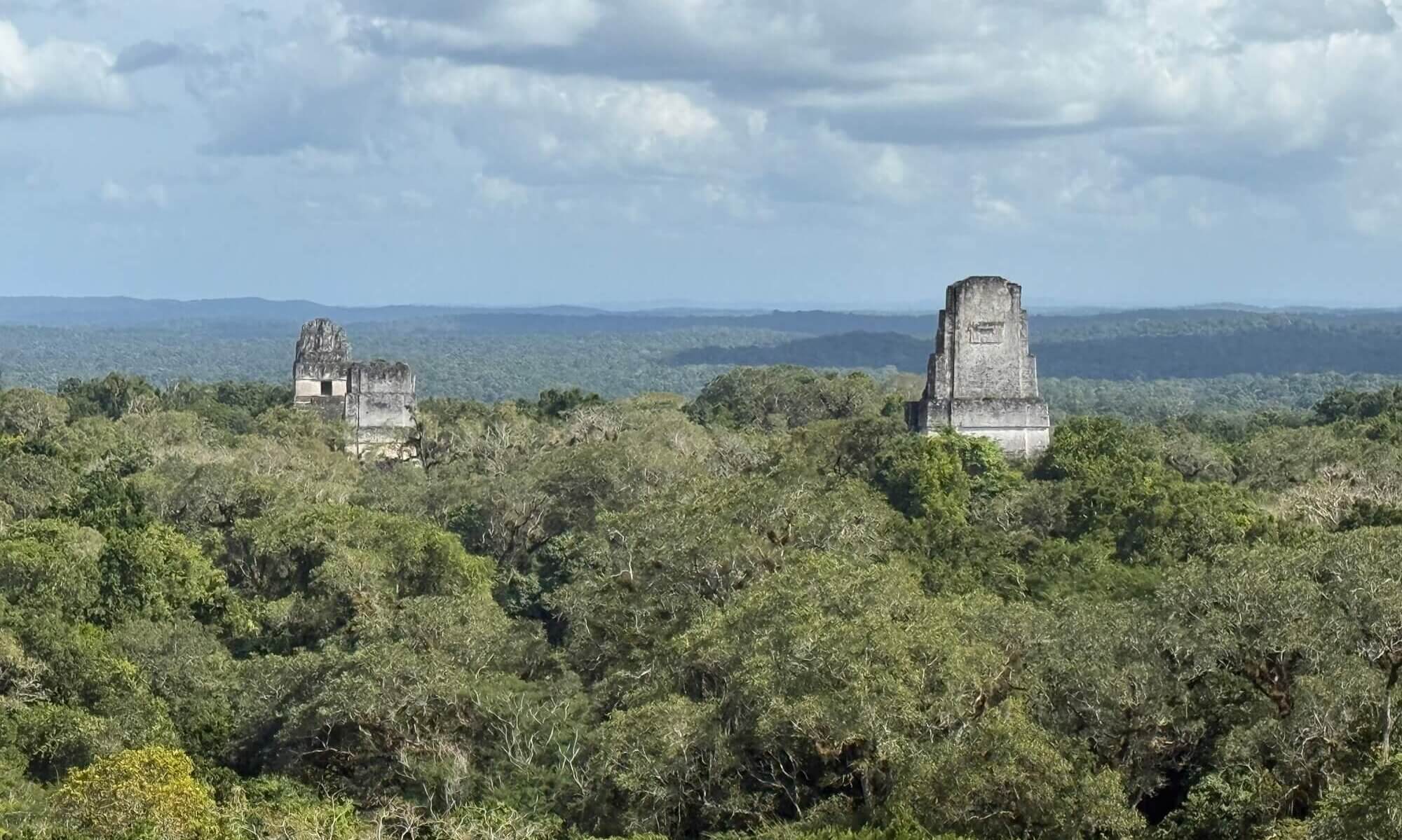 View from Templo IV, Parque Nacional, Tikal